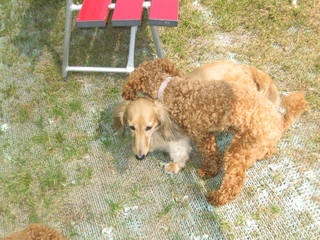 IMG_0616.JPG