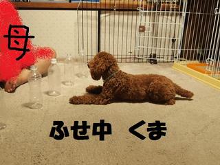P7232000.JPG